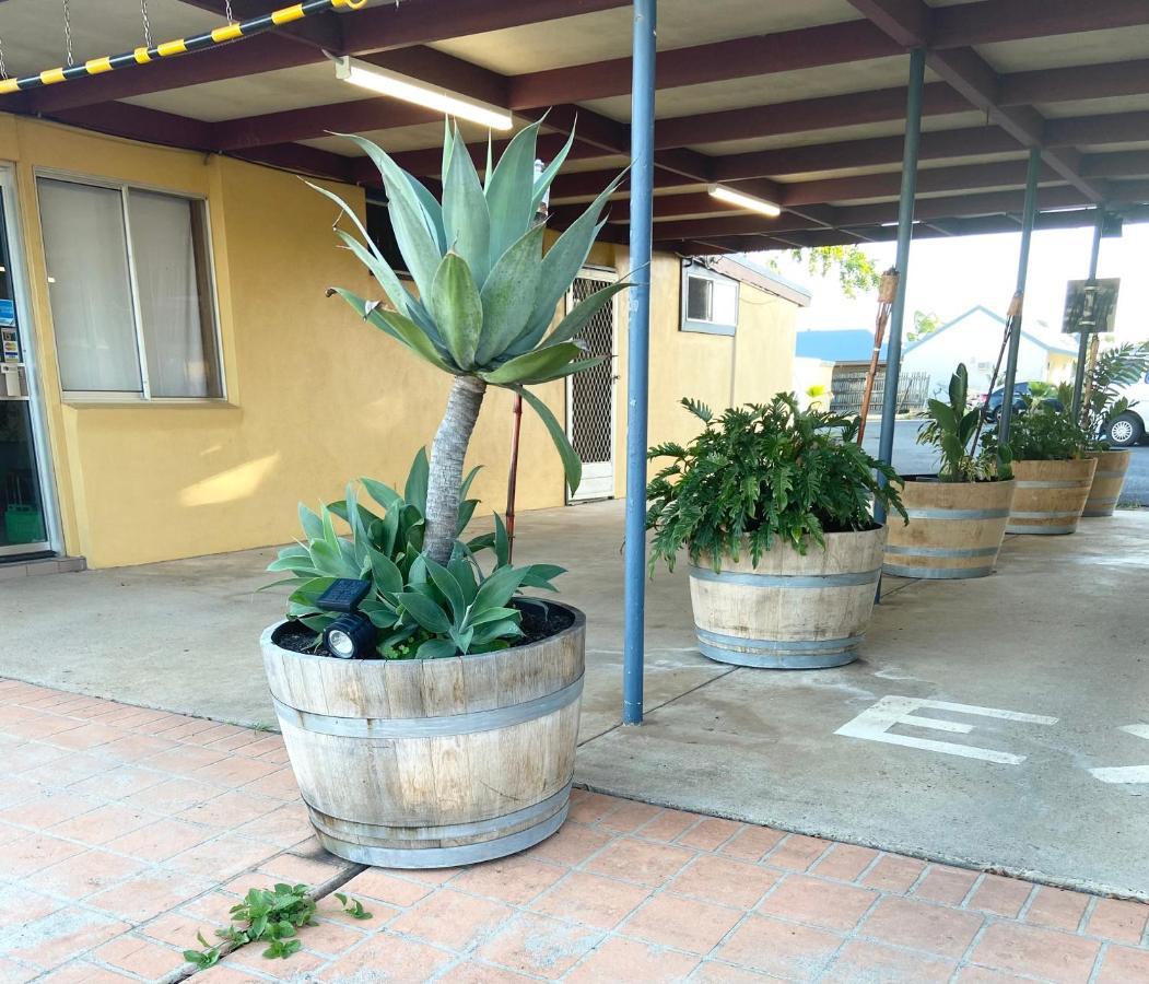 Proserpine Motor Lodge ภายนอก รูปภาพ